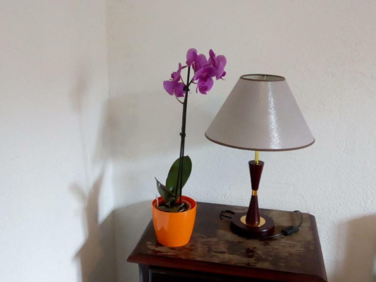 Apartman Teuta Zagreb Luaran gambar