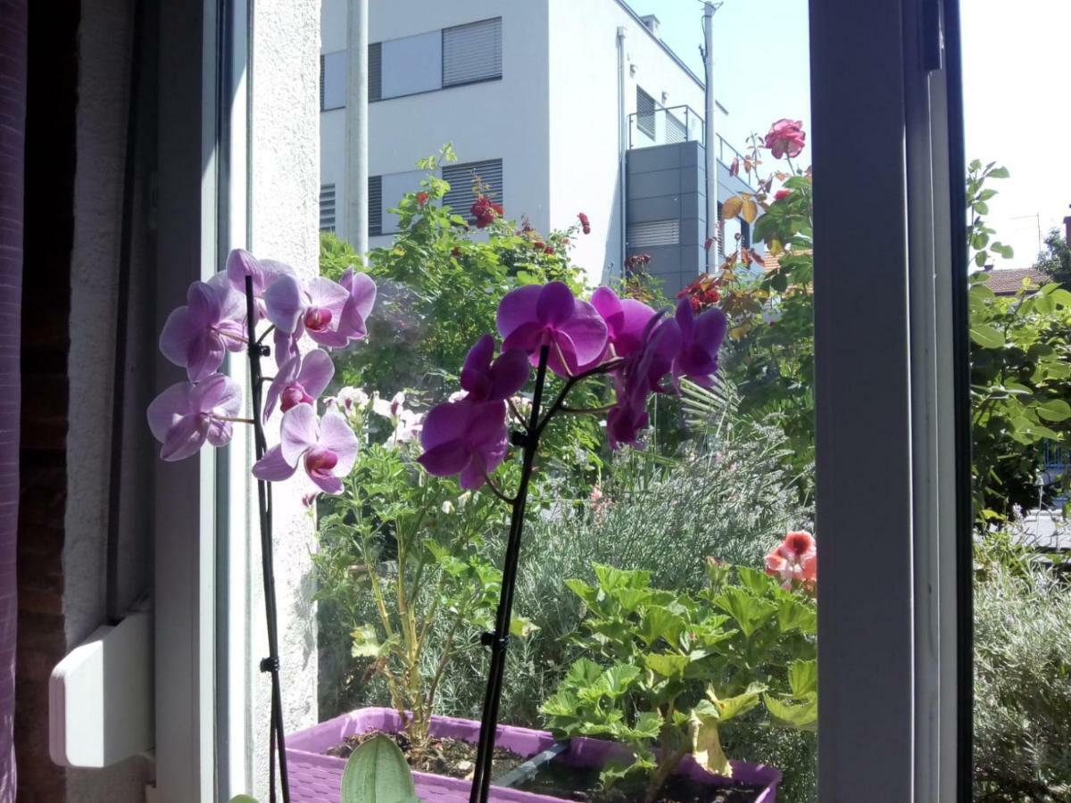 Apartman Teuta Zagreb Luaran gambar